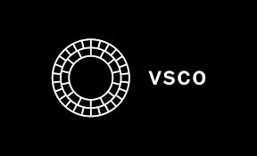 vsco search